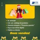 A FCDL separou algumas dicas que vão te ajudar organizar para a temporada.